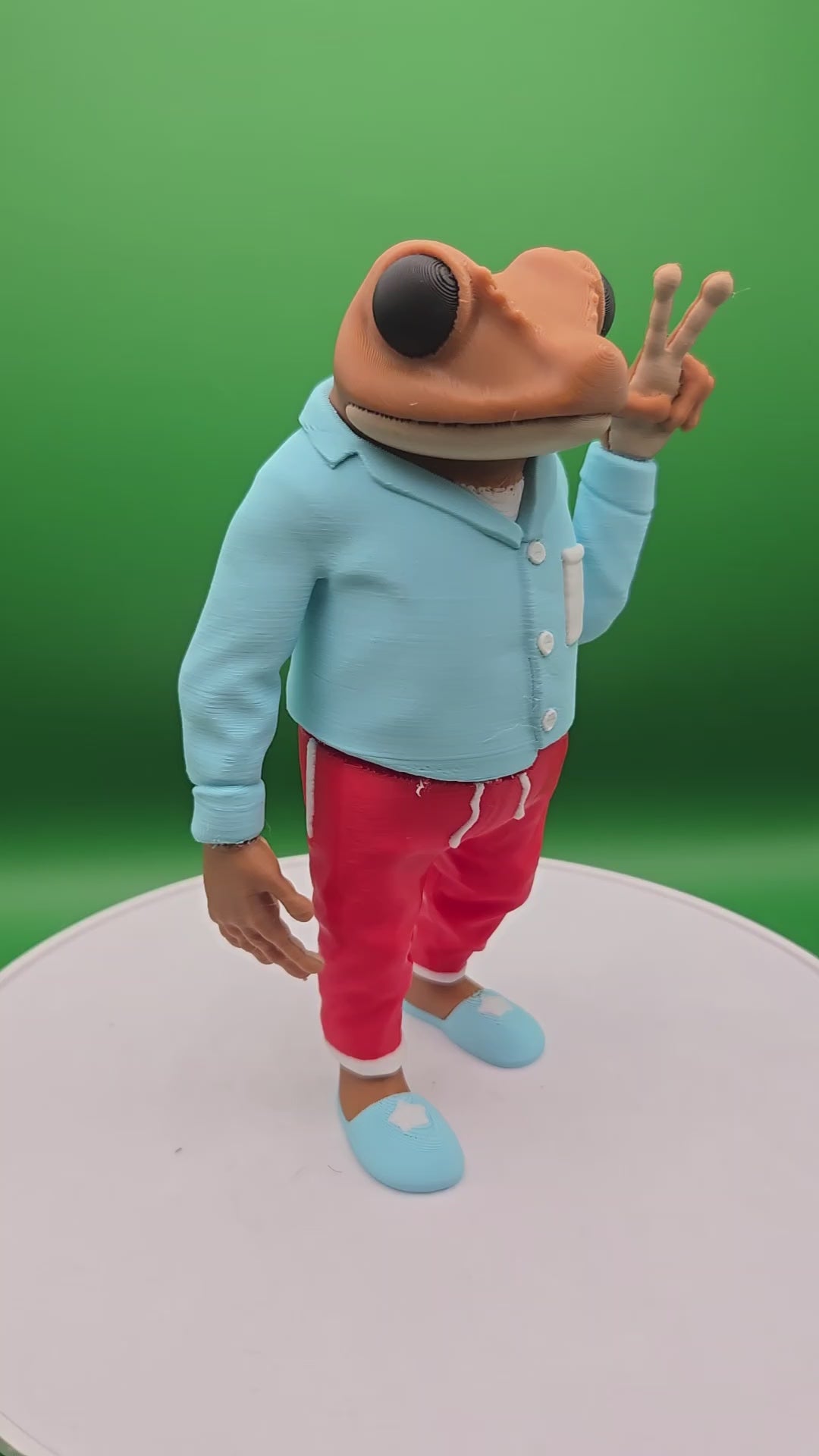 Sapo Concho DtMF 3D Printed Figure – Coqui Engineering & 3D Printing